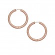 Florentine Finish Small Round Hoop Earrings