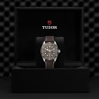 TUDOR Black Bay 58 Watch - M79010SG-0001 at Fourtané