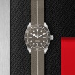 TUDOR Black Bay 58 Watch - M79010SG-0002 at Fourtané