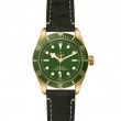 TUDOR Black Bay 58 Watch - M79018V-0001 at Fourtané