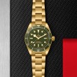 TUDOR Black Bay 58 Watch - M79018V-0006 at Fourtané