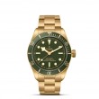 TUDOR Black Bay 58 Watch - M79018V-0006 at Fourtané