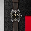 TUDOR Black Bay 58 Watch - M79030N-0002 at Fourtané