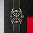 TUDOR Black Bay Bronze Watch - M79250BA-0001 at Fourtané