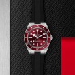 TUDOR Black Bay 58 Watch - M7939A1A0RU-0003 at Fourtané