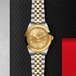 TUDOR Black Bay 31/36/39/41 S&G Watch - M79663-0005 at Fourtané