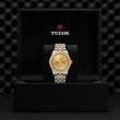 TUDOR Black Bay 31/36/39/41 S&G Watch - M79673-0007 at Fourtané