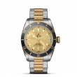 TUDOR Black Bay Watch - M79733N-0004 at Fourtané