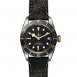 TUDOR Black Bay Watch - M79733N-0007 at Fourtané