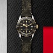 TUDOR Black Bay Watch - M79733N-0007 at Fourtané