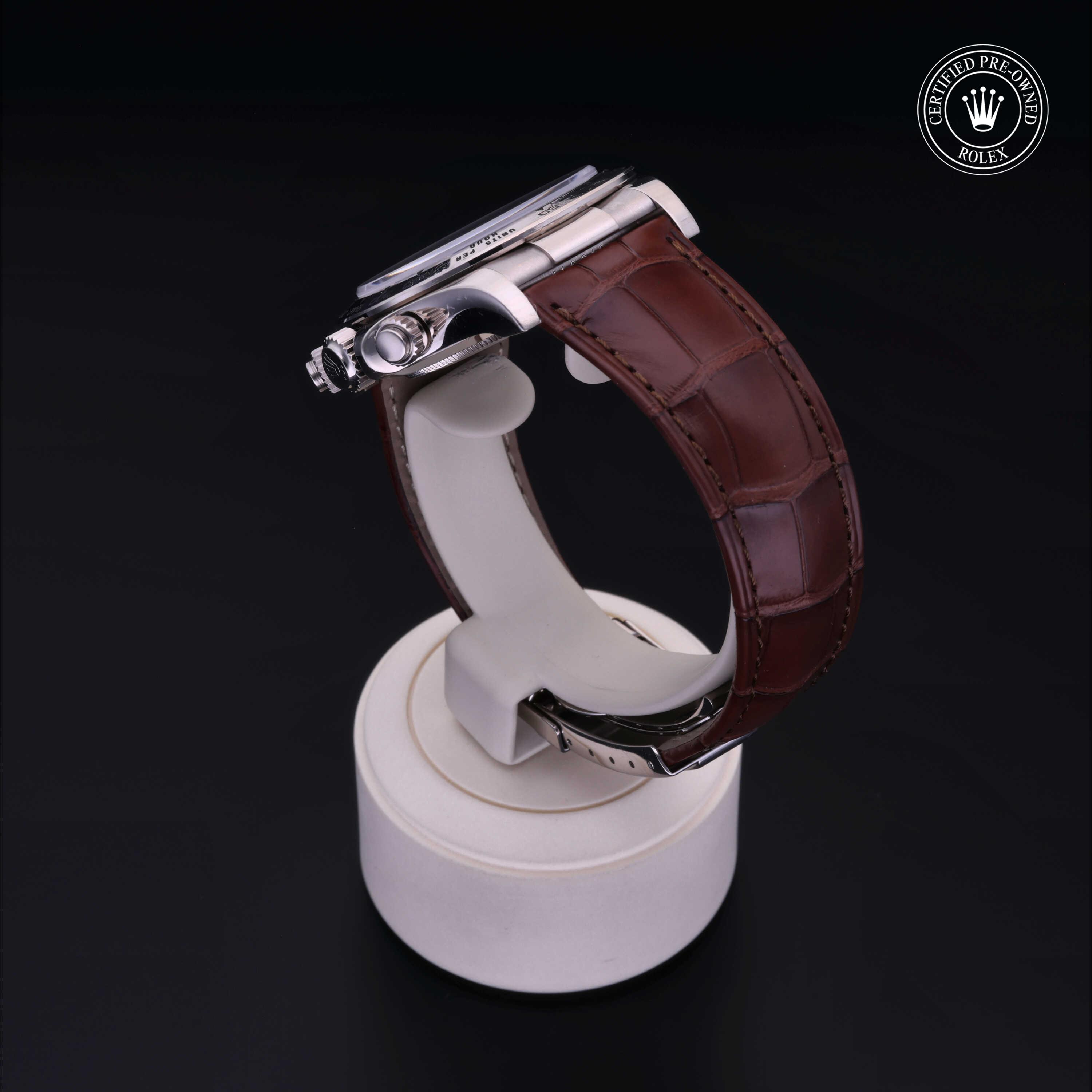 Oyster Perpetual Cosmograph Daytona